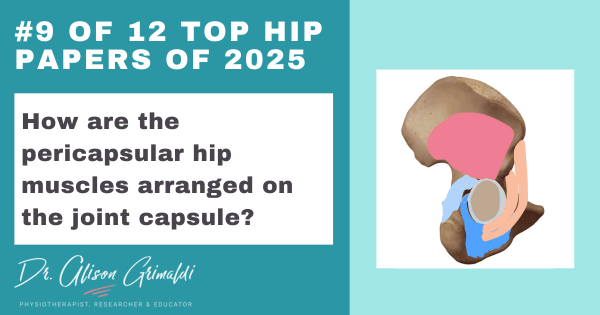 9-of-12-top-hip-papers-of-2025-how-are-the-pericapsular-hip-muscles-arranged-on-the-joint-capsule