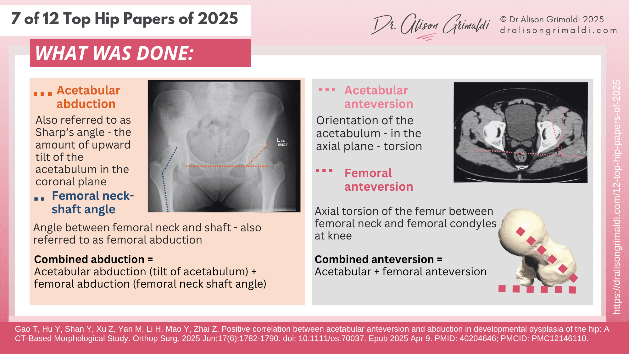 7 of 12 Top Hip Papers of 2025