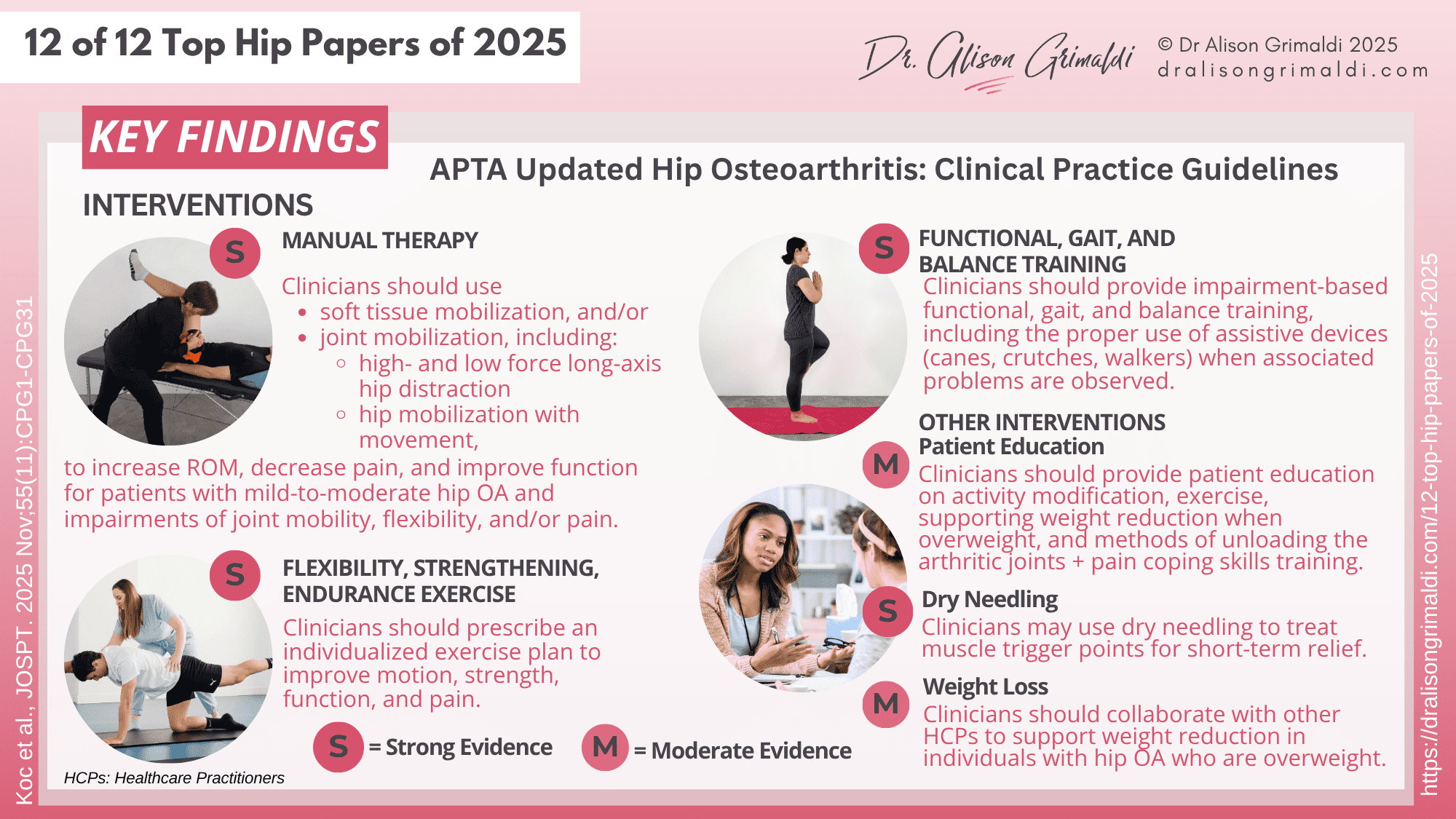 12 of 12 Top Hip Papers of 2025