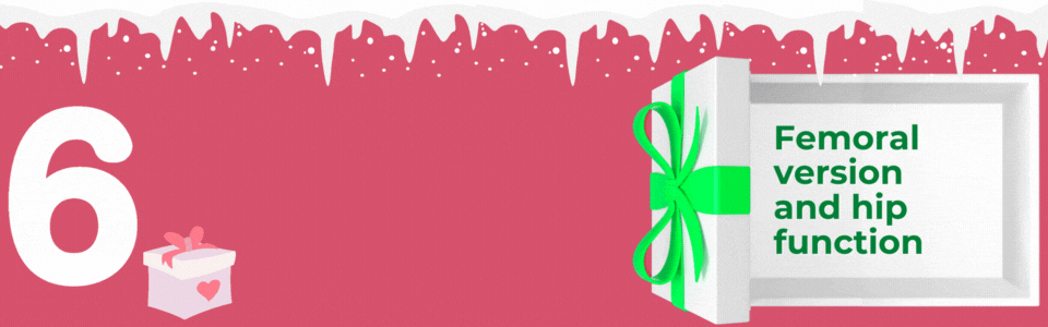 Top Banner Graphic - 6 of 12 -anteversion, retroversion, malversion