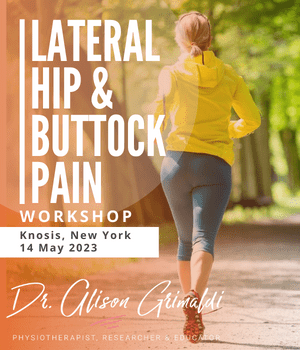 Lateral Hip and Buttock Pain Course run by Dr Alison Grimaldi in New York in May 2023