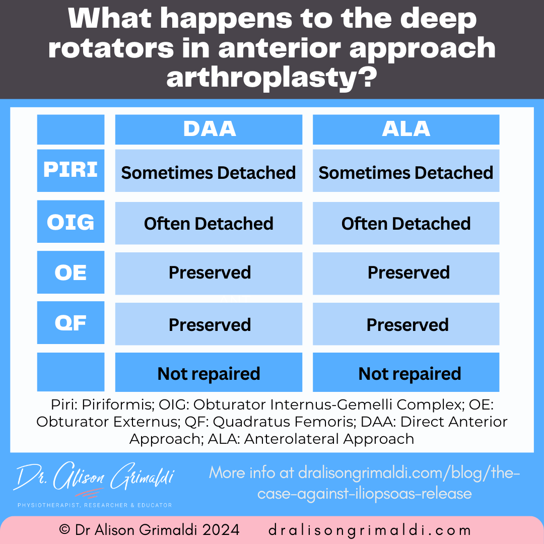 what-happens-to-the-deep-rotators-in-anterior-approach-arthroplasty