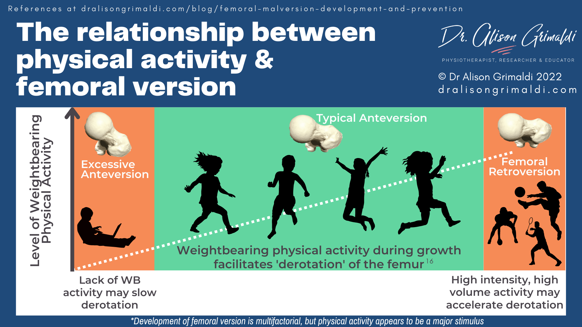 The relationship between physical activity & femoral version