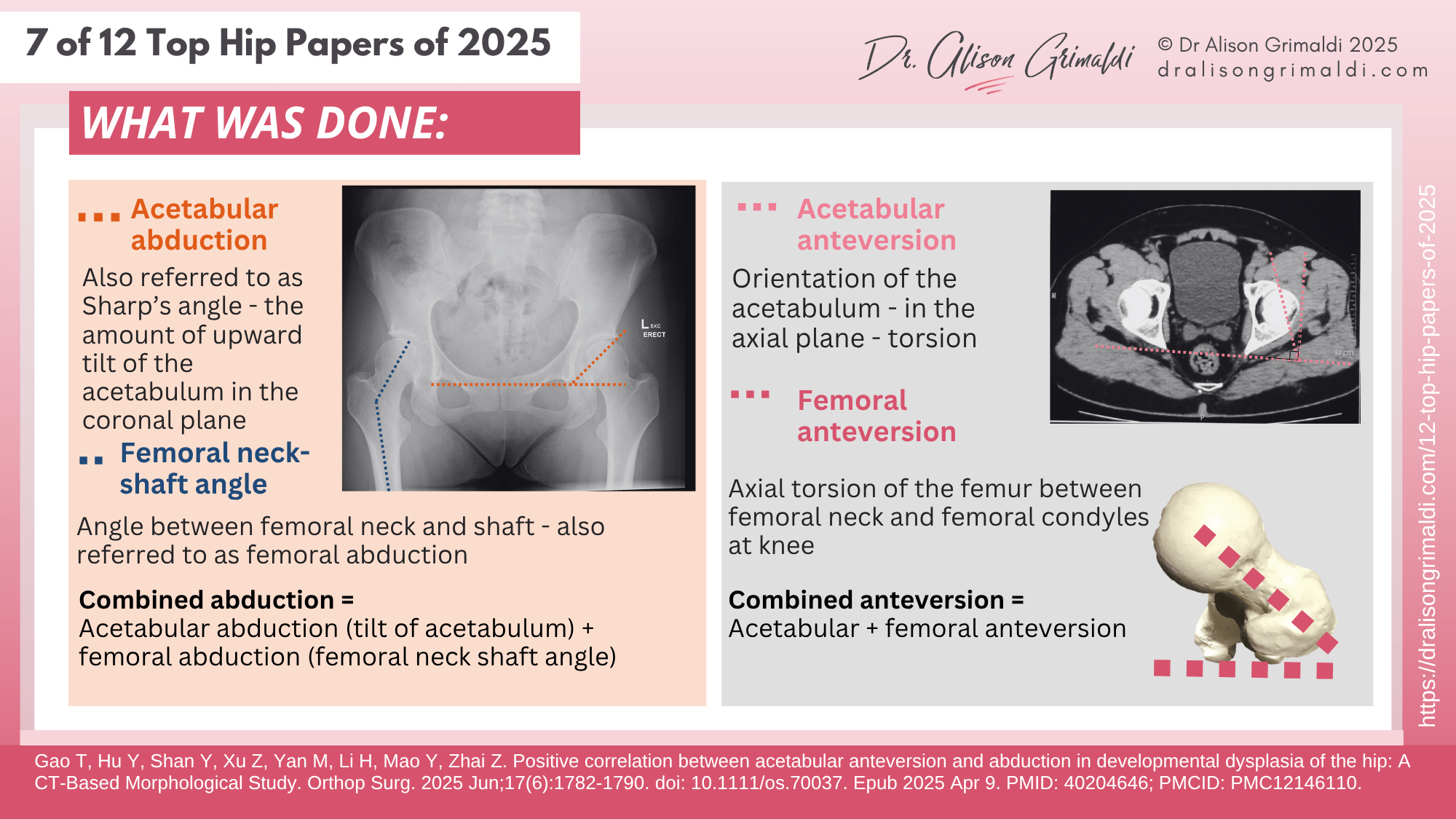 7 of 12 Top Hip Papers of 2025