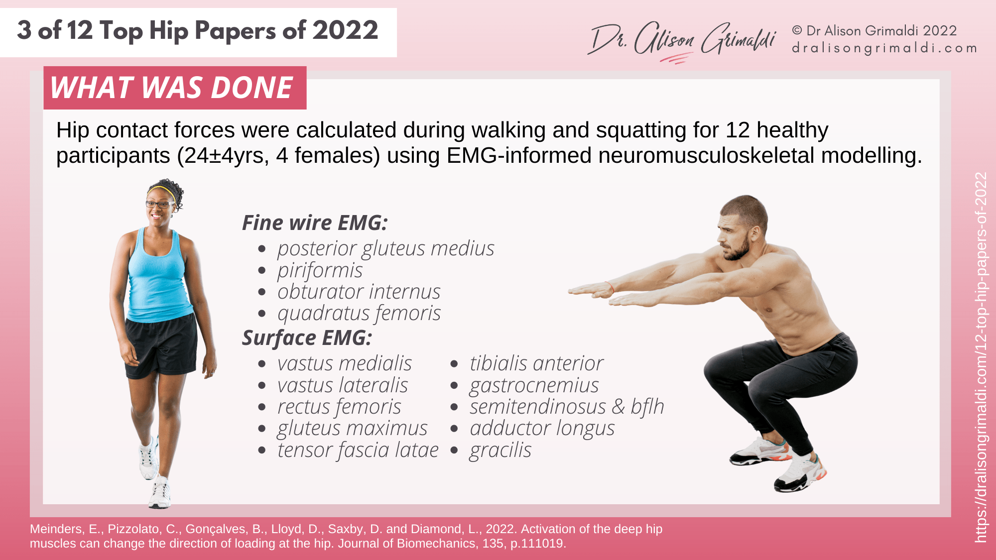 What Was Done - 3 of 12 - deep hip muscles and hip joint loads