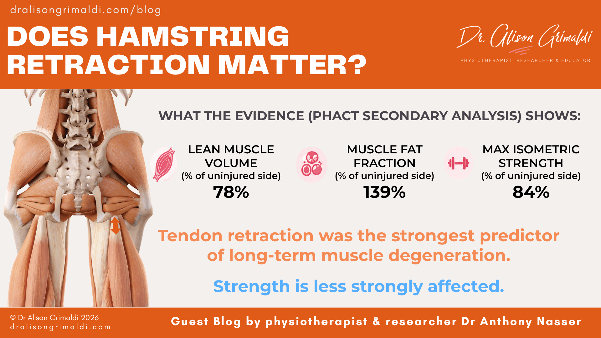 does-hamstring-retraction-matter